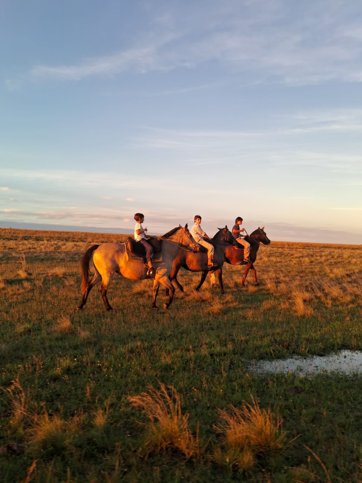 Cabalgata al atardecer